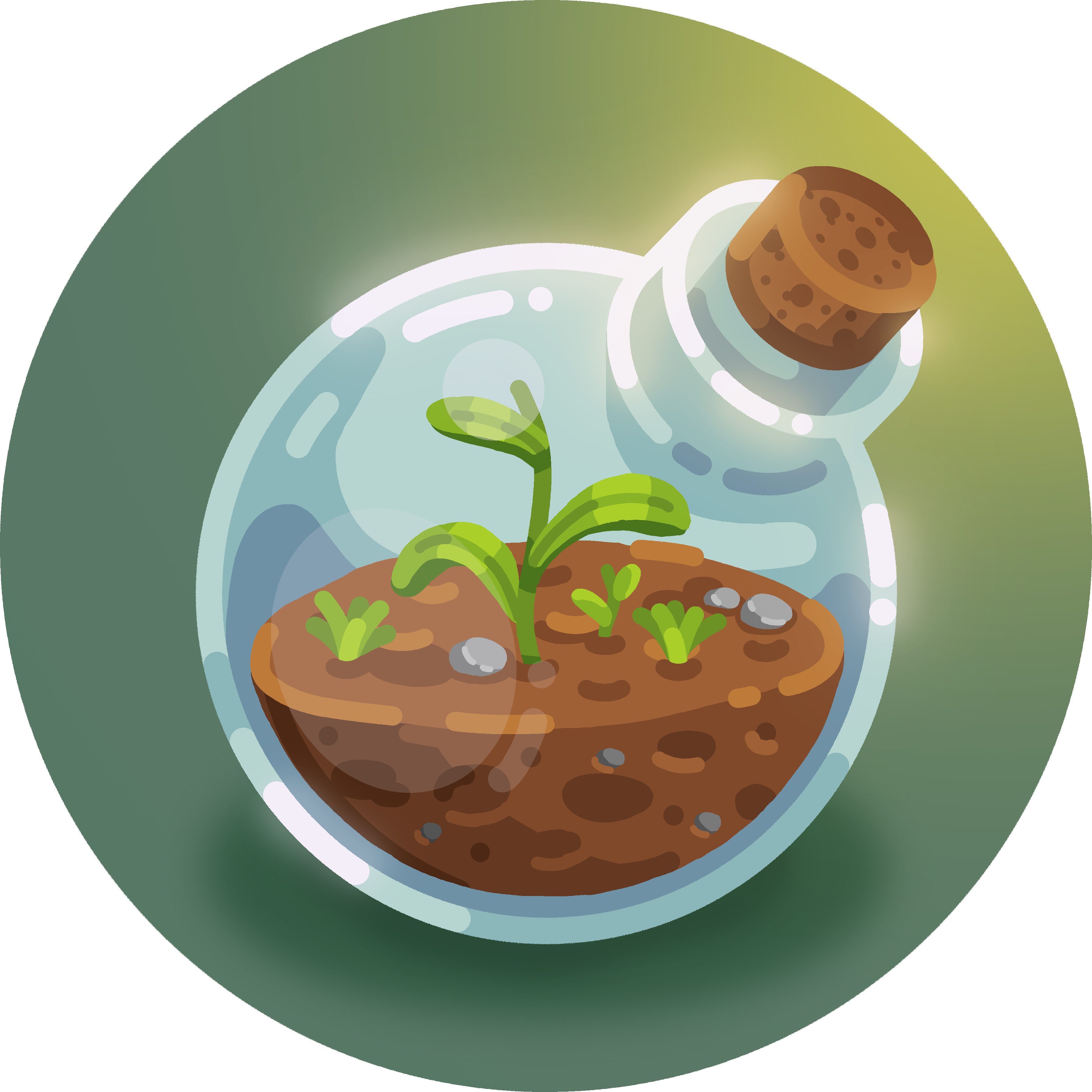 Terrarium image